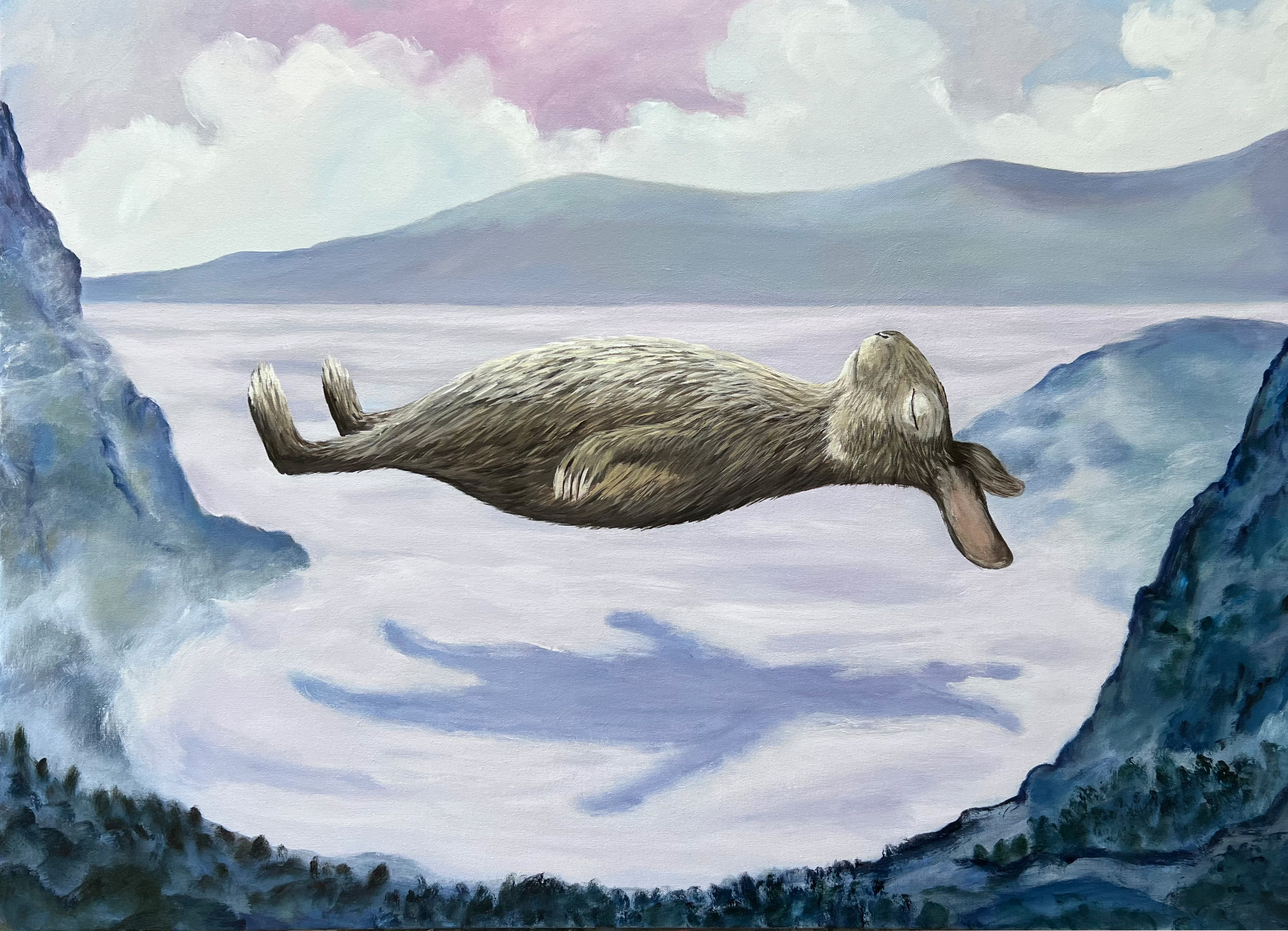 An Exhibition by Zennor Box